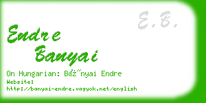 endre banyai business card